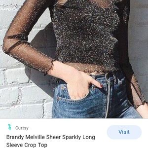 Brandy Melville Sheer Glitter Top